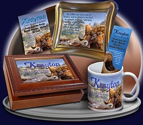 PC-AN10, Name Meaning Card, Wallet Sized, with Bible Verse Aria canyon, rocks diligence