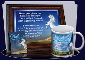 PC-AN26, Name Meaning Card, Wallet Sized, with Bible Verse Nathan white horse