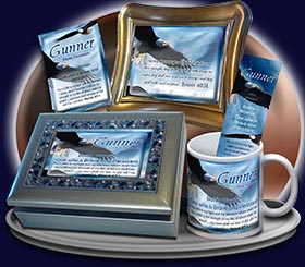 PC-AN38, Name Meaning Card, Wallet Sized, with Bible Verse gunner bald eagle bird