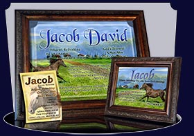 PC-AN48, Name Meaning Card, Wallet Sized, with Bible Verse jacob brown horse houses