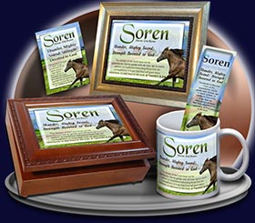 PC-AN49, Name Meaning Card, Wallet Sized, with Bible Verse soren brown horse house
