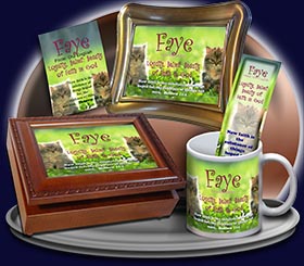 PC-AN51, Name Meaning Card, Wallet Sized, with Bible Verse faye cute fuzzy kittens cats