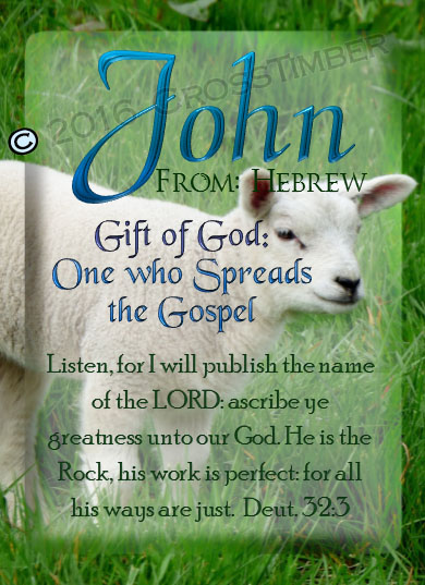 PC-AN02, Name Meaning Card, Wallet Sized, with Bible Verse sheep flock lambs shepherd john