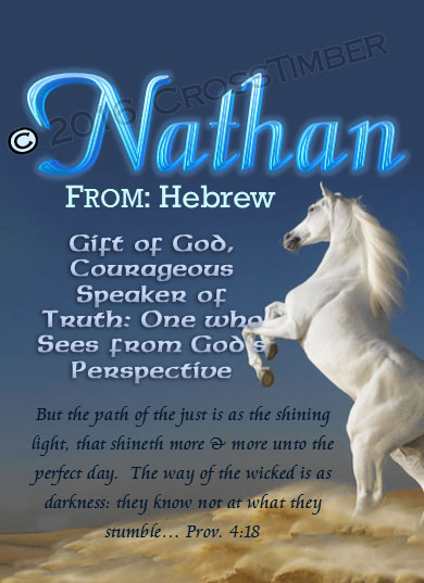 PC-AN26, Name Meaning Card, Wallet Sized, with Bible Verse Nathan white horse