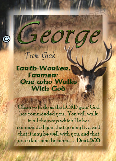 PC-AN35, Name Meaning Card, Wallet Sized, with Bible Verse elk hunt, hunter, deer buck george