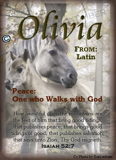 PC-AN45, Name Meaning Card, Wallet Sized, with Bible Verse mom mother child horses white olivia