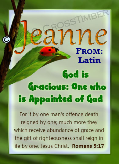 PC-AN61, Name Meaning Card, Wallet Sized, with Bible Verse ladybug bug jeanne garden