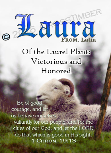 PC-AN62, Name Meaning Card, Wallet Sized, with Bible Verse sheep ram shepherd flock lamb staff Laura