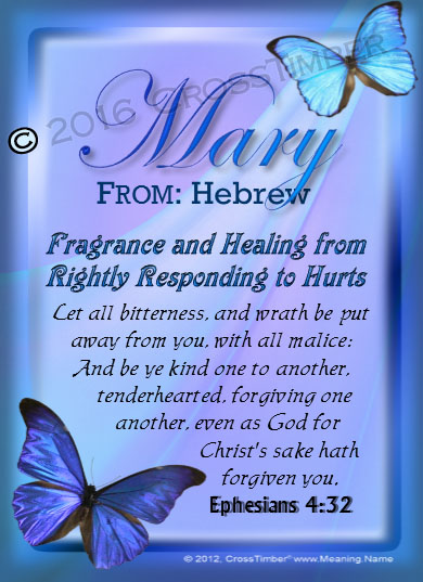 PC-BF02, Name Meaning Card, Wallet Sized, with Bible Verse butterfly blue mary