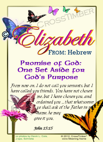 PC-BF04, Name Meaning Card, Wallet Sized, with Bible Verse butterfly  elizabeth