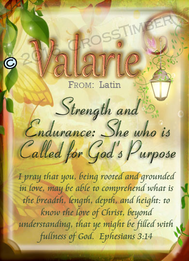 PC-BF18, Name Meaning Card, Wallet Sized, with Bible Verse fairy fairytale storybook lamp light butterfly valarie