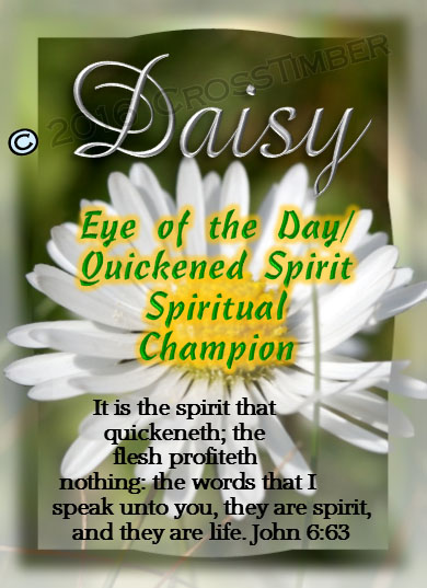 PC-FL36, Name Meaning Card, Wallet Sized, with Bible Verse, personalized, floral flower, daisy white