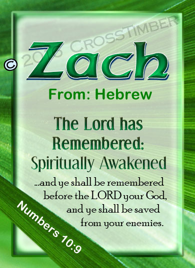 PC-LE04, Name Meaning Card, Wallet Sized, with Bible Verse, personalized, zach leaf tree leaves green
