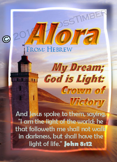 PC-LH15, Name Meaning Card, Wallet Sized, with   Bible Verse