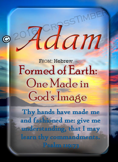 PC-SC32, Name Meaning Card, Wallet Sized, with Bible Verse, personalized, adam, man clouds sunset