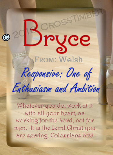 PC-SP19, Name Meaning Card, Wallet Sized, with   Bible Verse