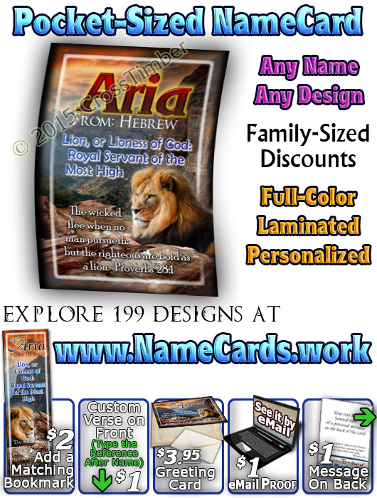 PC-AN09, Name Meaning Card, Wallet Sized, with Bible Verse, aria, lion, canyon, bravery, courage