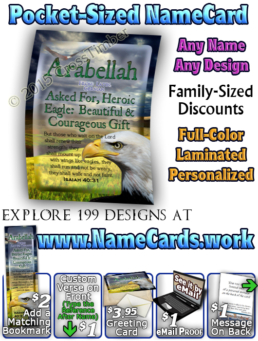 PC-AN23, Name Meaning Card, Wallet Sized, with Bible Verse bird arabellah bald eagle