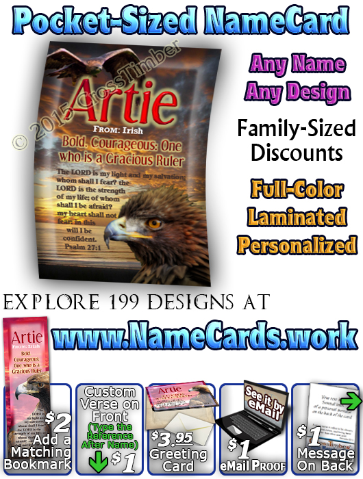 PC-AN24, Name Meaning Card, Wallet Sized, with Bible Verse bird golden eagle hawk Artie