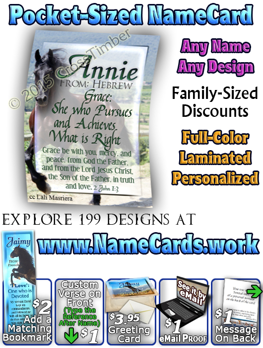 PC-AN29, Name Meaning Card, Wallet Sized, with Bible Verse Jaimy black horse beauty stallion