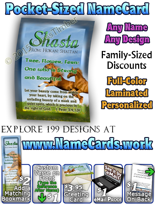 PC-AN42, Name Meaning Card, Wallet Sized, with Bible Verse Playful Horses happy joyful Shasta brown