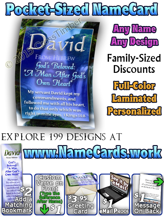 PC-WA02, Name Meaning Card, Wallet Sized, with Bible Verse, personalized, still waters waterfall, David